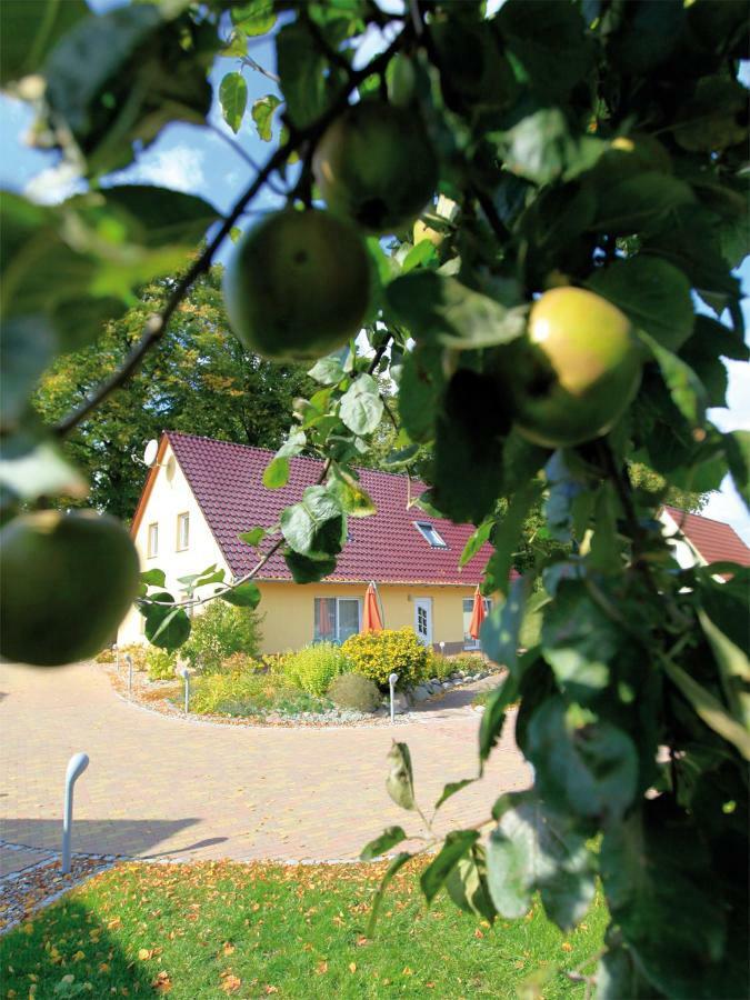 Apartament Scholzke'S Ferienhaus Ralswiek Zewnętrze zdjęcie